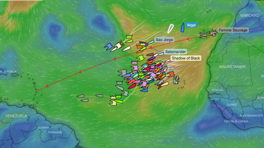 Catastrophe maritime : un marin de l'ARC meurt dans un accident sur l'Atlantique