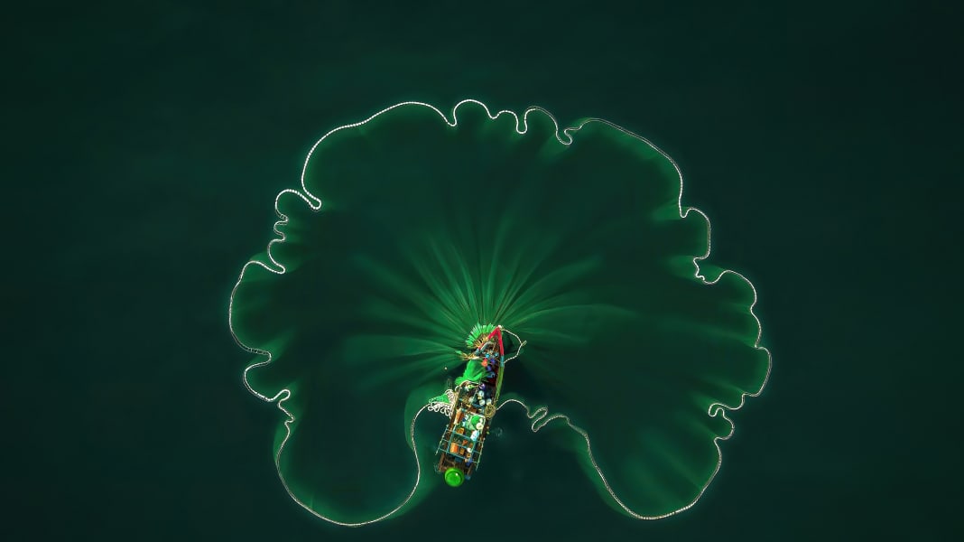 World Oceans Day 2022: Fantastic photos by and for the friends of the sea