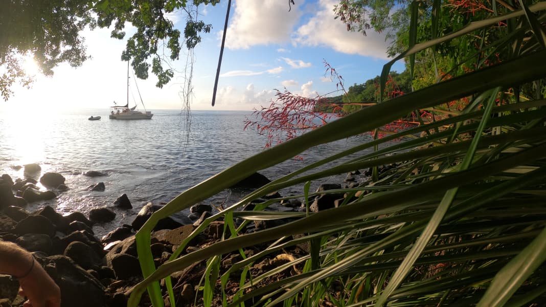 Le blog de l'eau bleue : Une année dans les Caraïbes : côtés ensoleillés et sombres d'un paradis de la voile