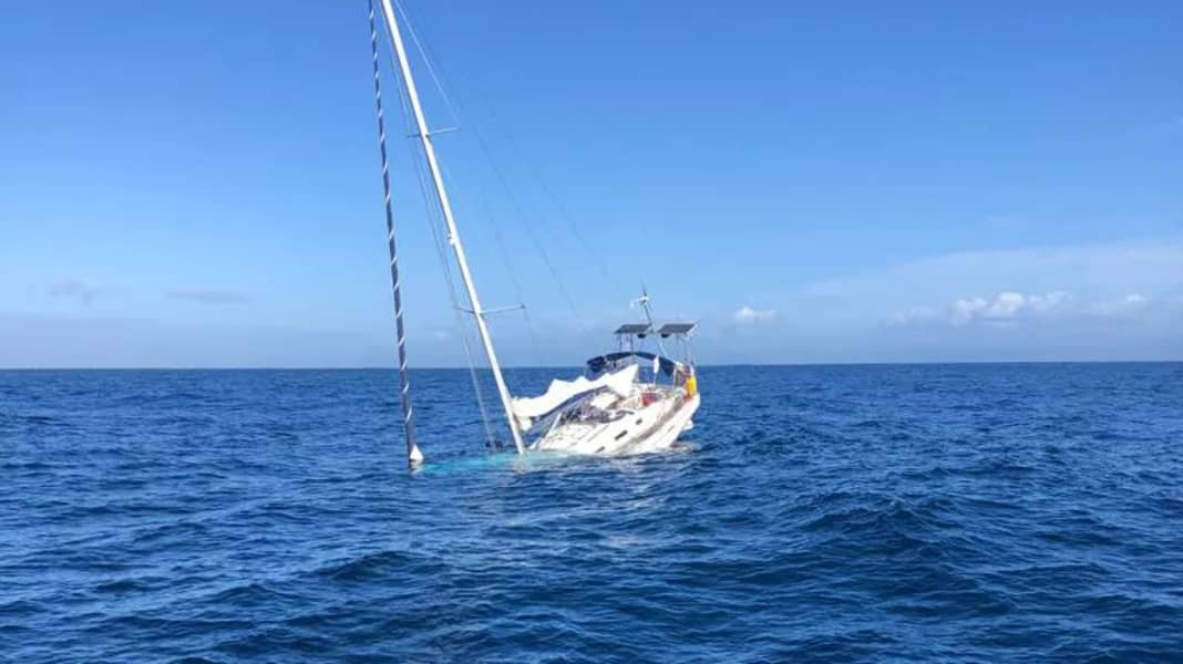 Whale attacks: Sailing yacht sinks after orca attack off Portugal