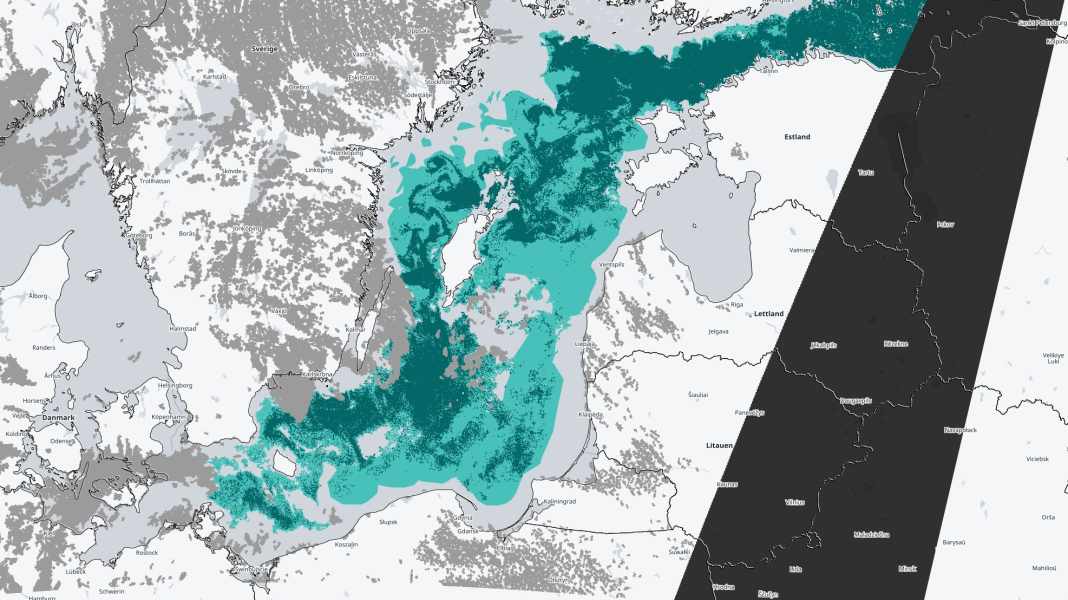 Environment: Algal bloom in large parts of the Baltic Sea