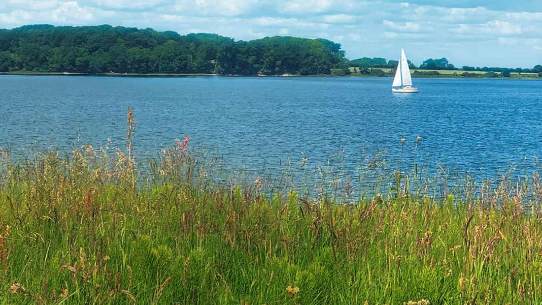 Aktionsplan Ostseeschutz: “Die Tonlage hat sich geändert”