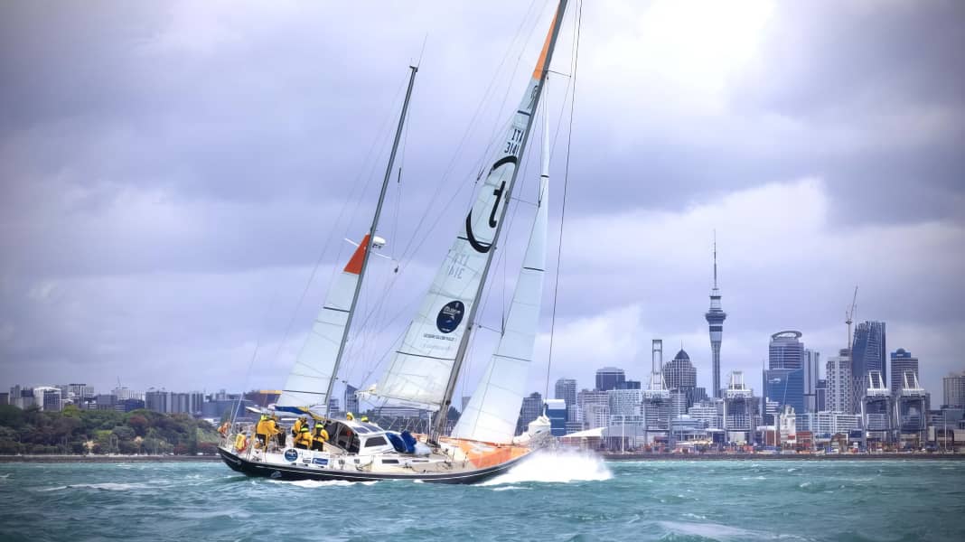 Ocean Globe Race: Nach über 7000 Seemeilen ist Auckland erreicht