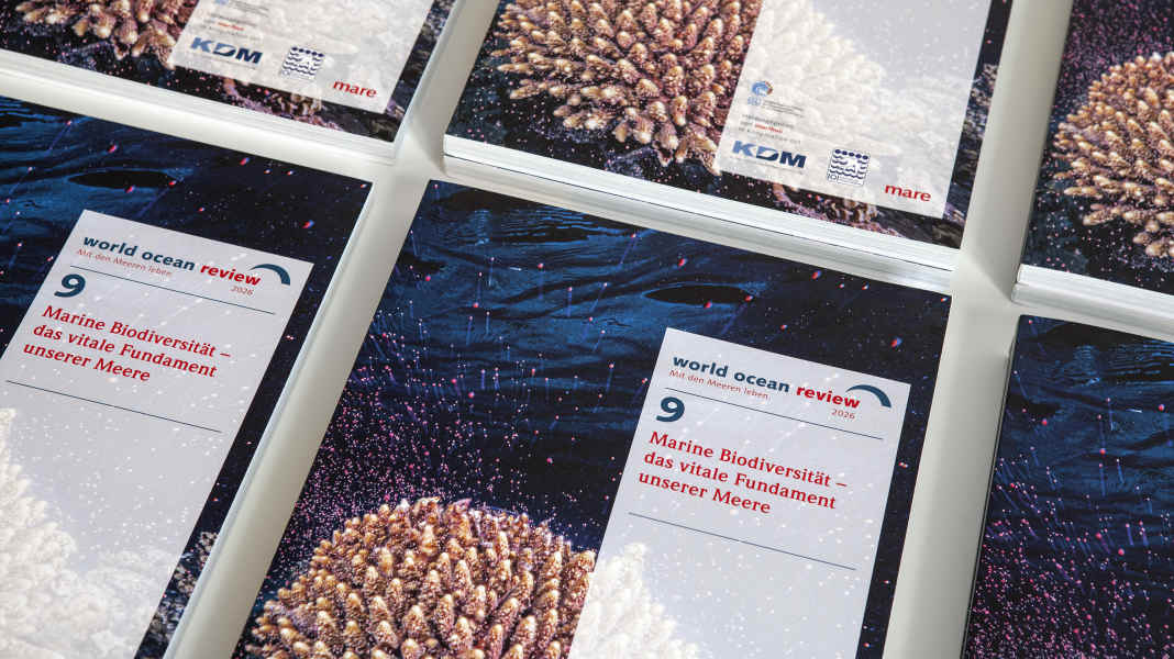 World Ocean Review 2025: Meeresschutz funktioniert – wenn er richtig umgesetzt wird