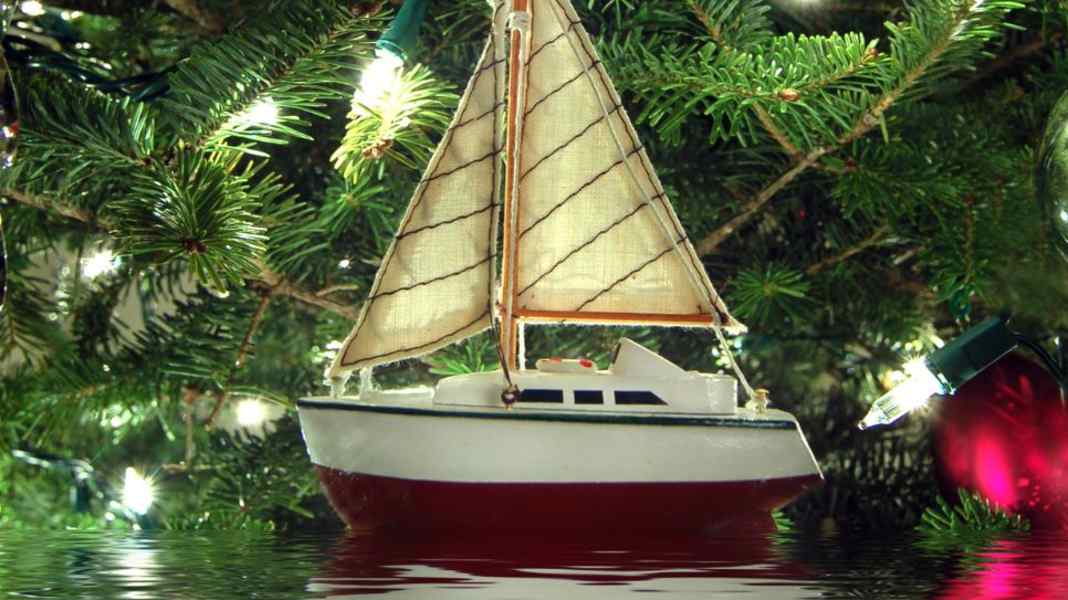 3rd advent calendar door DSV vouchers for exciting seminars at the DSV