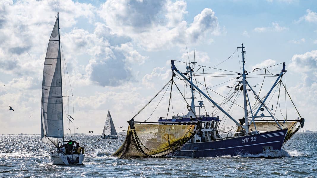 Right of way: Court tightens right of way rules for sailors