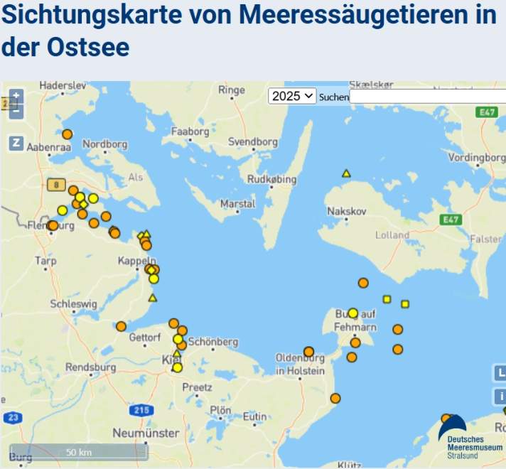 yacht/screenshot-karte-sichtungsmeldungen_6ed3d988059d57d0aa4adaea12e6b479