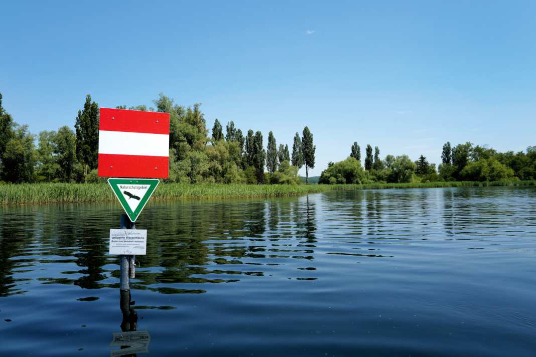 Some shore areas and sections of the lake are protected. In general, you must keep your distance from the shores and reed beds