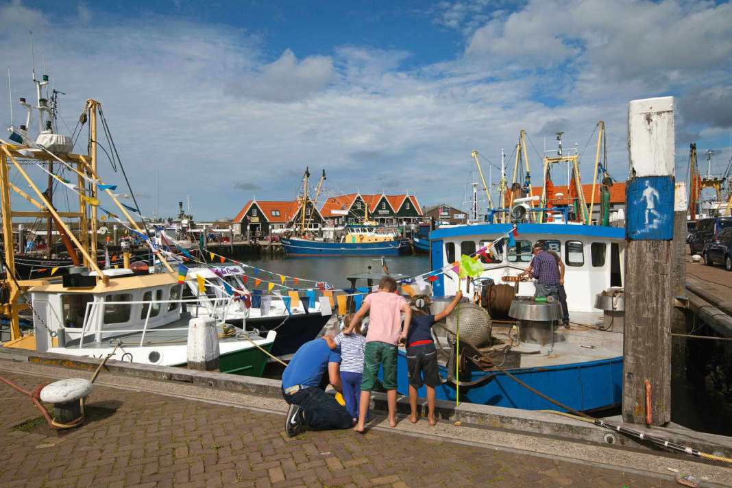 On the road on Texel