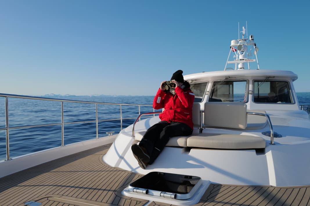 Travelling off the coast of southern Greenland
