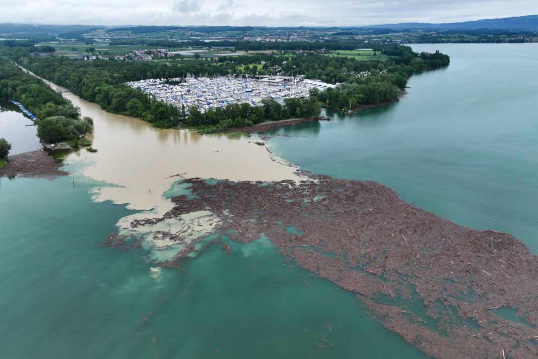 Große Treibholzfelder gefährden die Schifffahrt auf dem Bodensee
