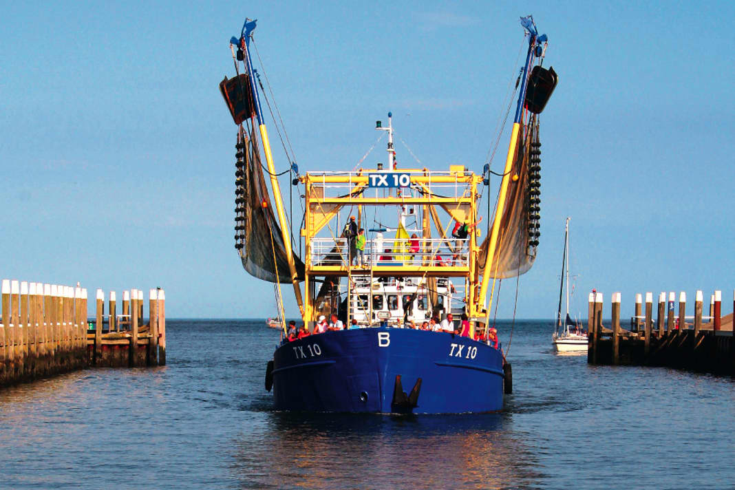 Oudeschild: A proper cutter trip including shrimp fishing is one of the highlights of a Texel holiday.