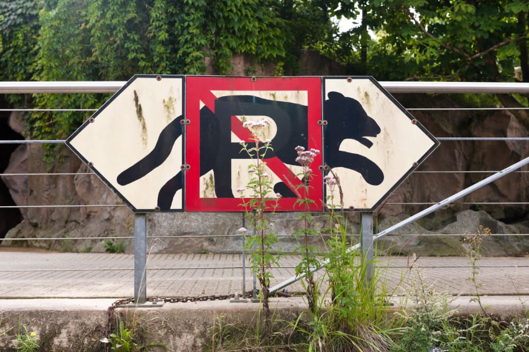 Unterwegs in den Grachten von Amsterdam