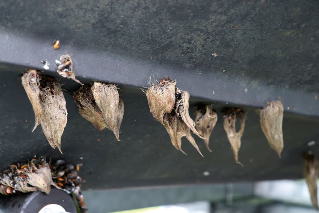 Get rid of it! If the underwater hull looks like this, only a radical treatment on land will help