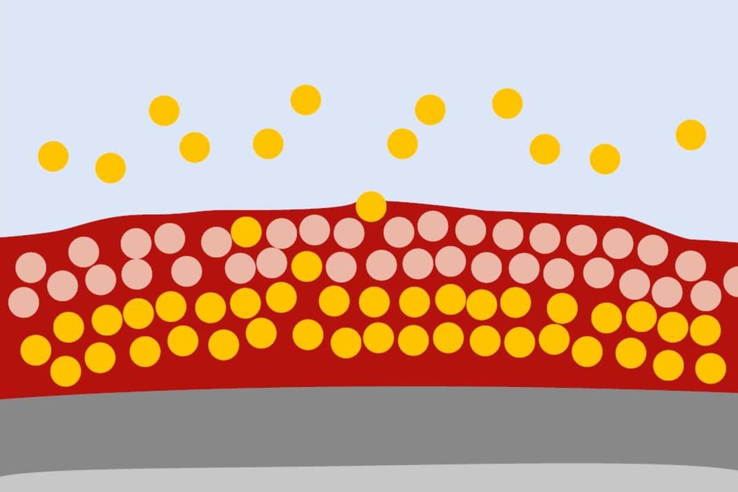 Hard antifouling: The biocides are bound in a resin system. It is mechanically very resilient and is suitable for trailer boats and in tidal areas. Over the course of the season, the active substances wash out and the protection slowly wears off. The empty resin matrix remains on the hull and must be sanded off in winter