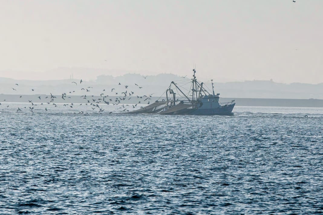 Photographed from standing height, the picture has a different mood than...