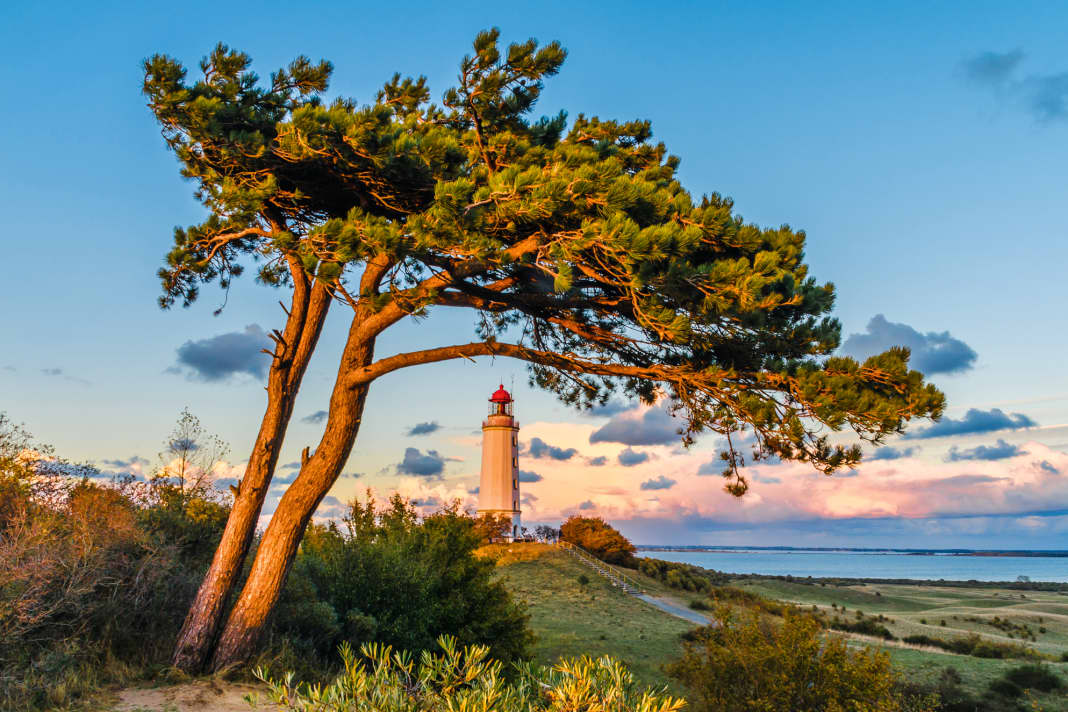 Vorpommersche Boddenlandschaft: The thorn bush on Hiddensee symbolises nature conservation and sustainable tourism. Sailing is permitted for the most part, but anchoring is prohibited in some places