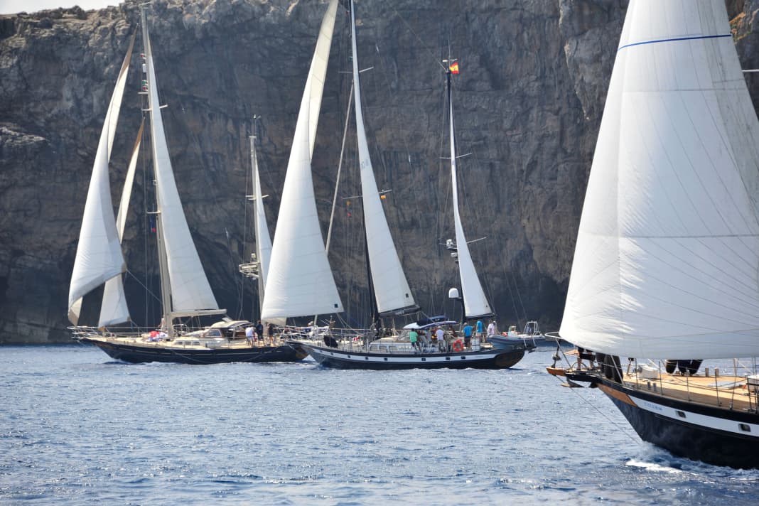 Dahm International Regatta