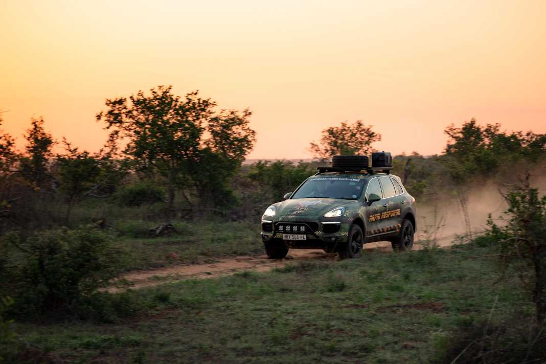 Porsche Cayenne unterstützt Anti-Wilderer-Einheit in Südafrika