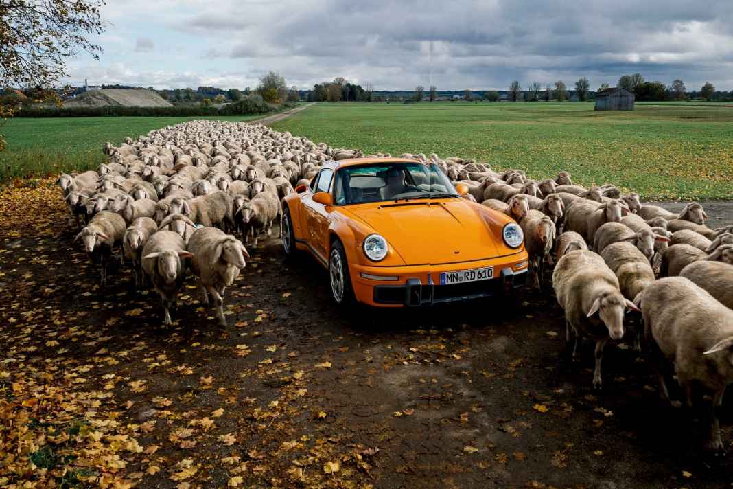 RUF Rodeo