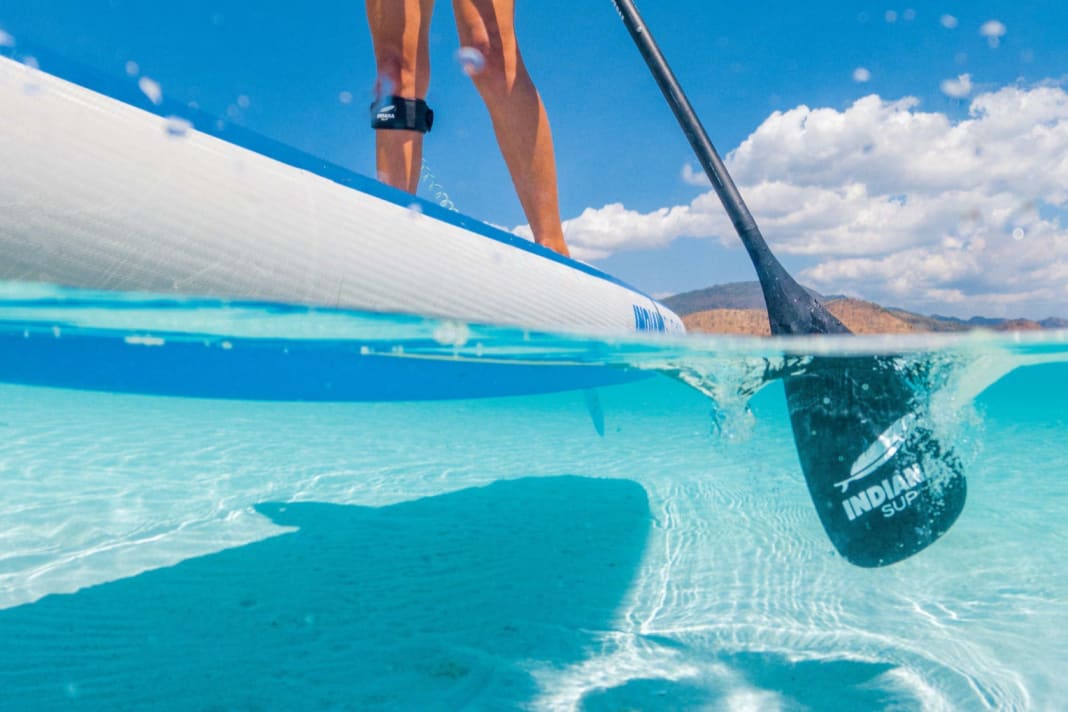 Practical test of the top ten paddles