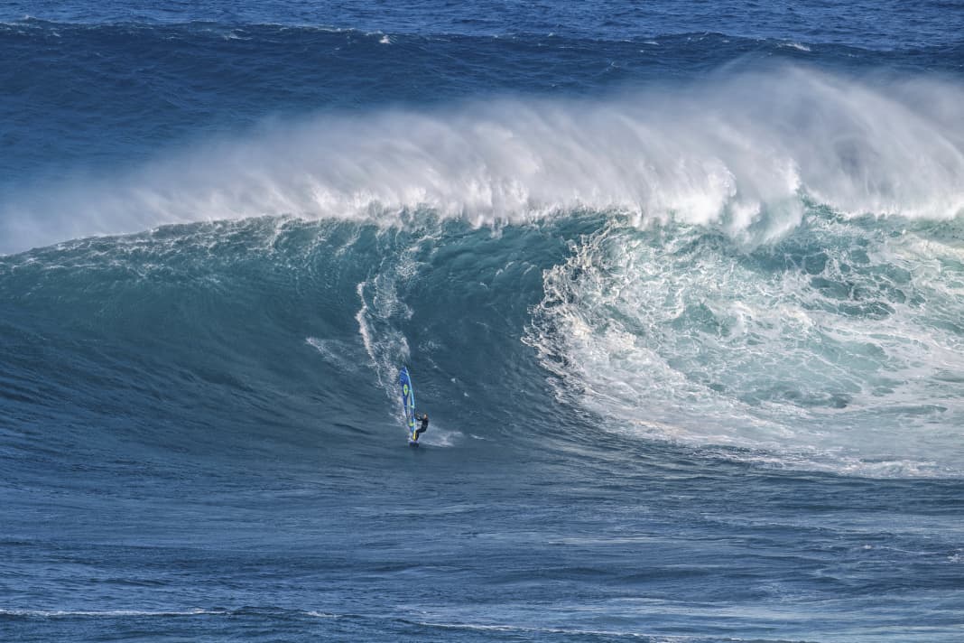 Riding big waves is the driving force behind the delicate New Caledonian.