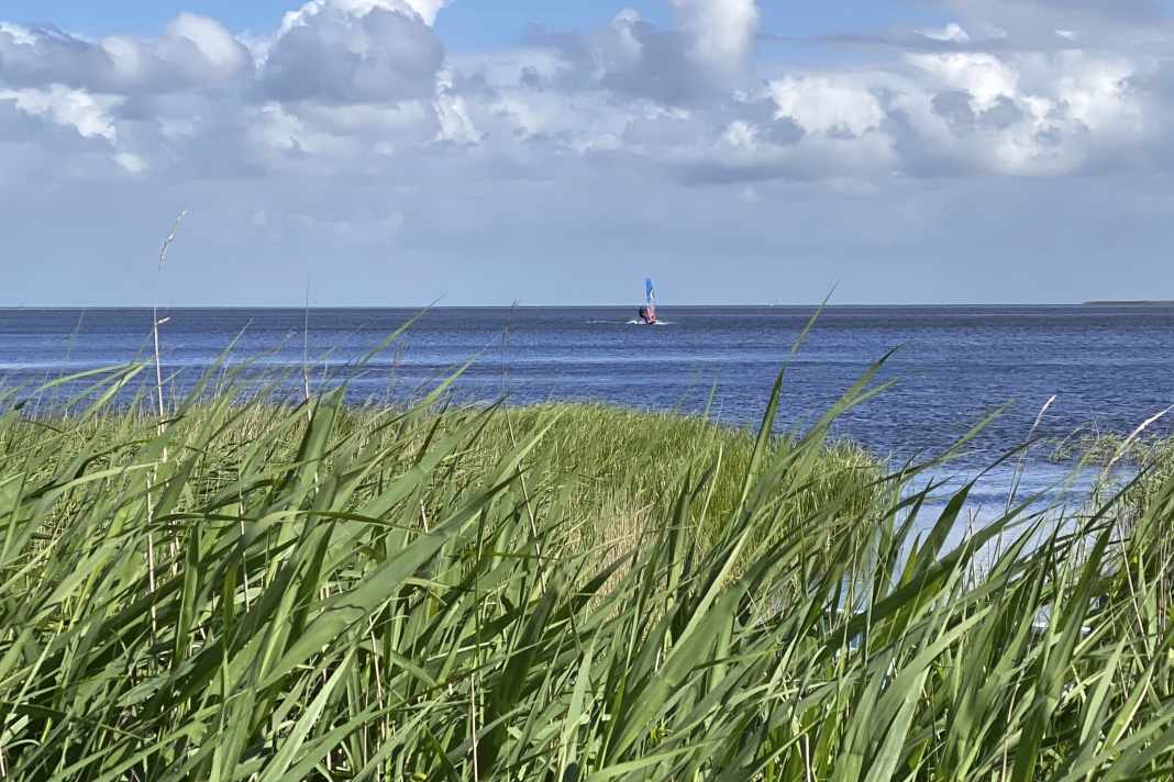 Den Spot am Bjerregard Campingplatz haben die Camper exklusiv.