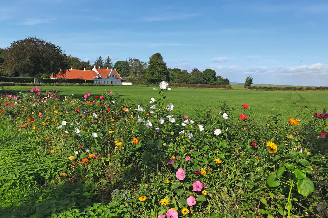 The well-kept manor houses create an almost kitschy atmosphere.