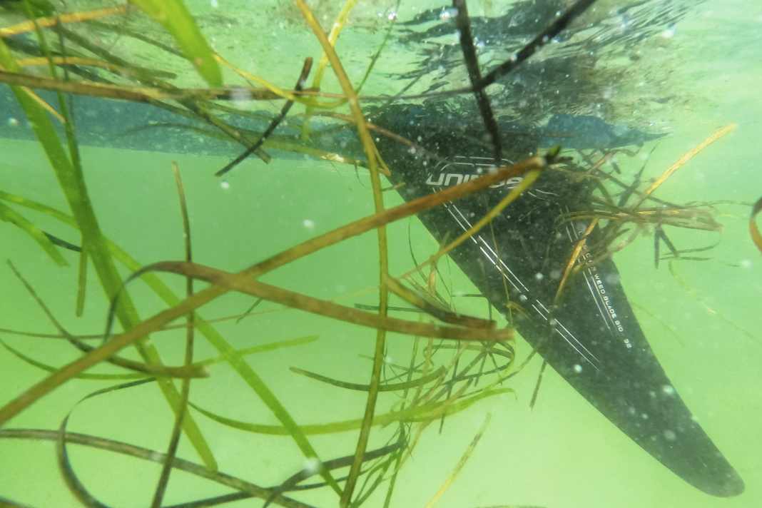 Seagrass fins simply let the seaweed slide off; they are much more prone to doing so.