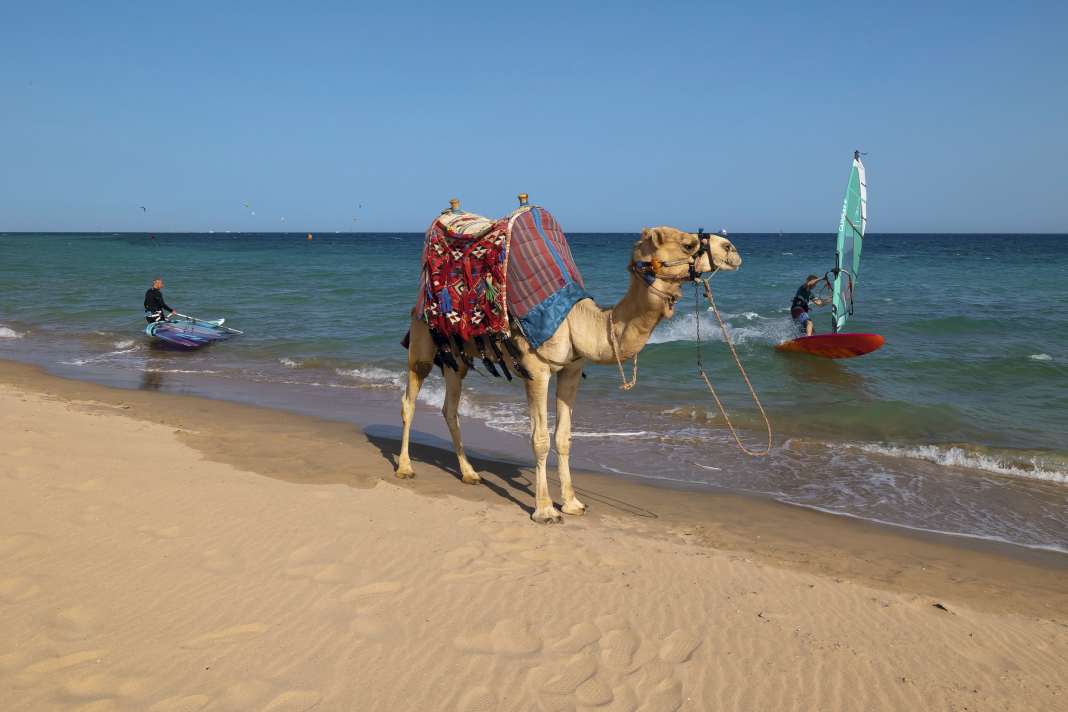 Safaga gehörte in den 90ern zu den Top-Spots in Ägypten.  Drei Stationen und zahlreiche Hotels machen den Ort zum perfekten Familien-Spot