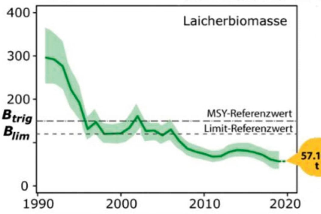 In three decades, herring spawning has fallen from 300,000 tonnes to 57,000 tonnes