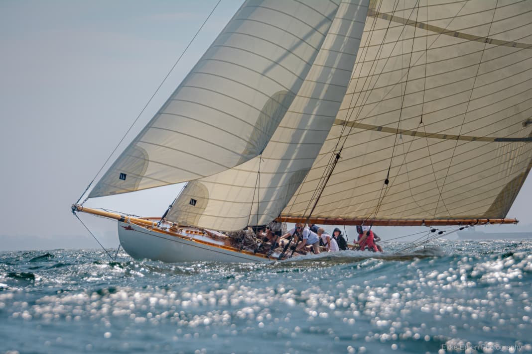 Gaffelzwölfer "Cintra" (le dauphin)