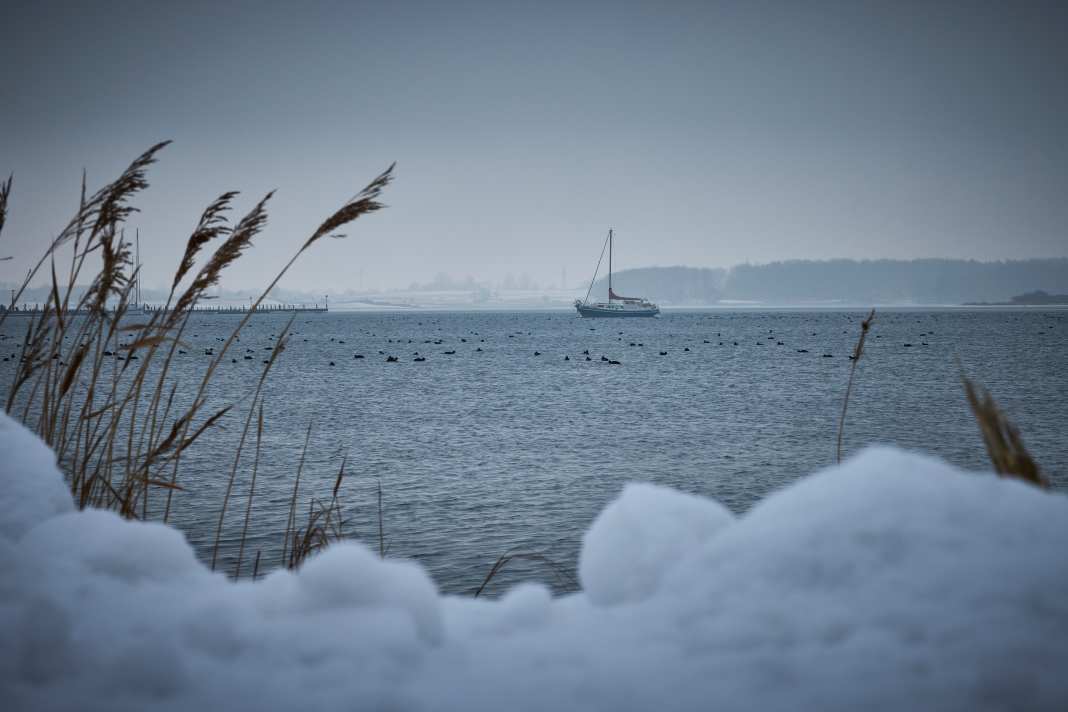 Loin de tout et de tous, Adel Moser passe l'hiver à bord d'un bateau.
