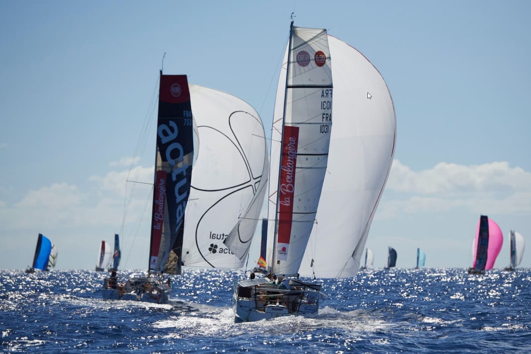 Il prologo al largo di La Palma mercoledì. Ecco come si presenterà alla partenza di sabato | La Boulangère Mini-Transat/A. Pilpré