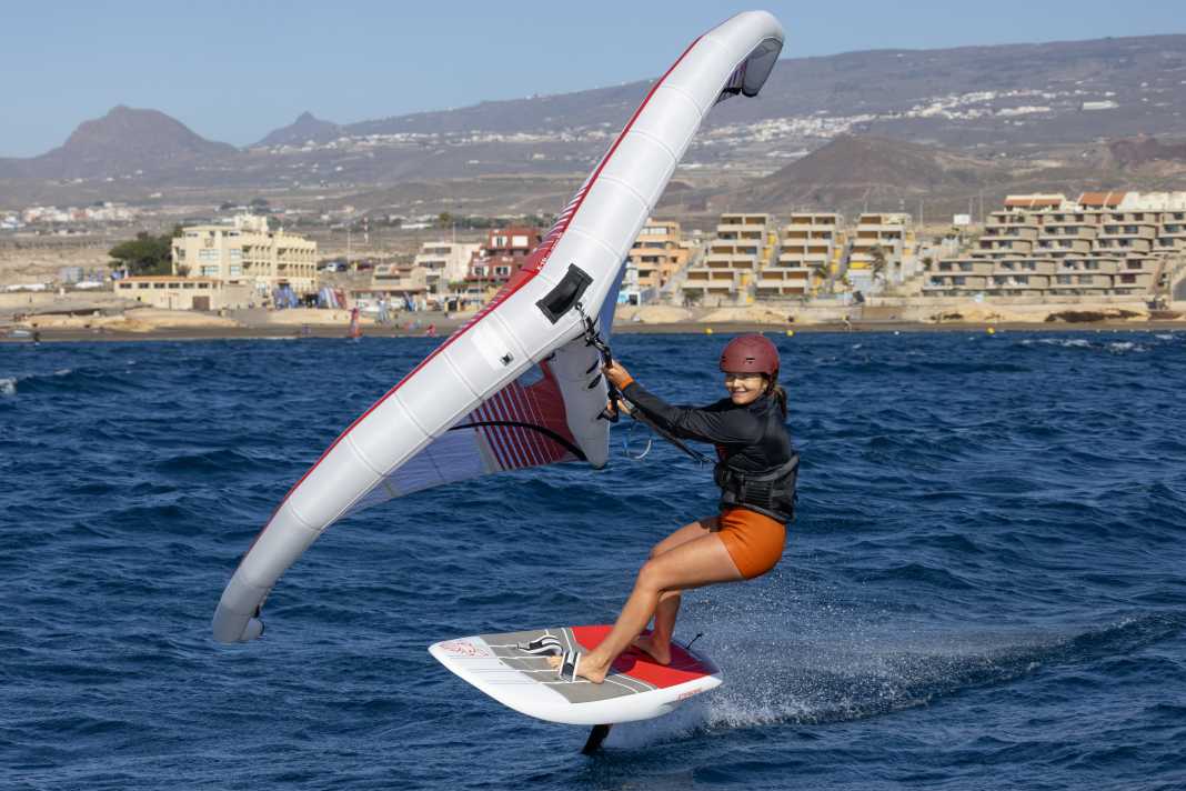 Alettoni
