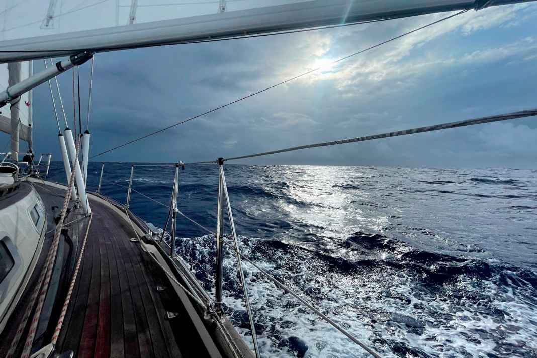 Good if he's always ready: Bull on Leon Schulz's HR 46