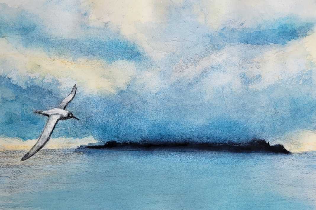 Les îles subantarctiques d'Auckland sont un paradis pour les oiseaux de mer et les phoques, mais pour les naufragés, c'est l'enfer sur terre.