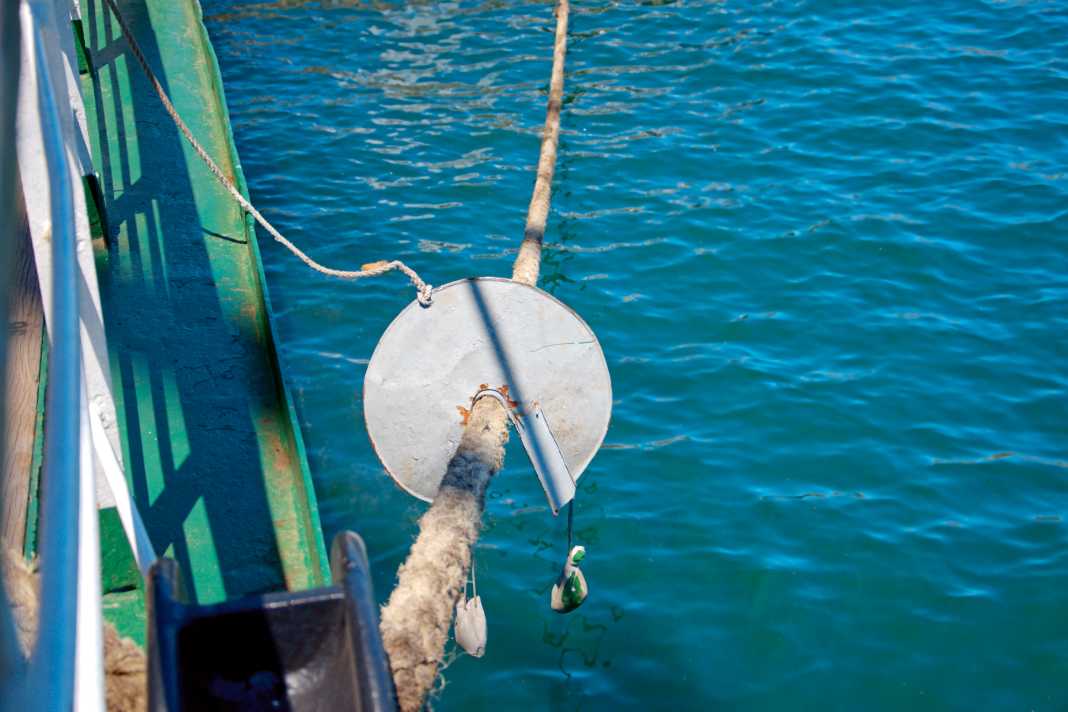 Please do not come on board! If there is a known mice problem ashore, the entrances may be blocked.