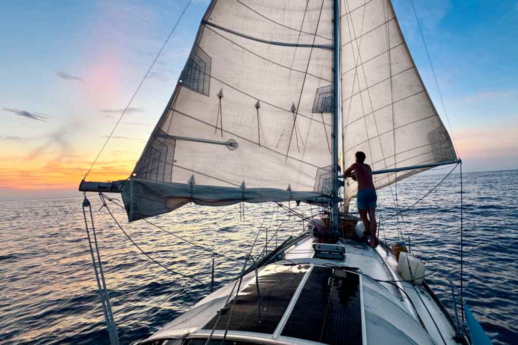 A fantastic start to the Atlantic crossing: butterfly at dusk on the edge of the Sargasso Sea.