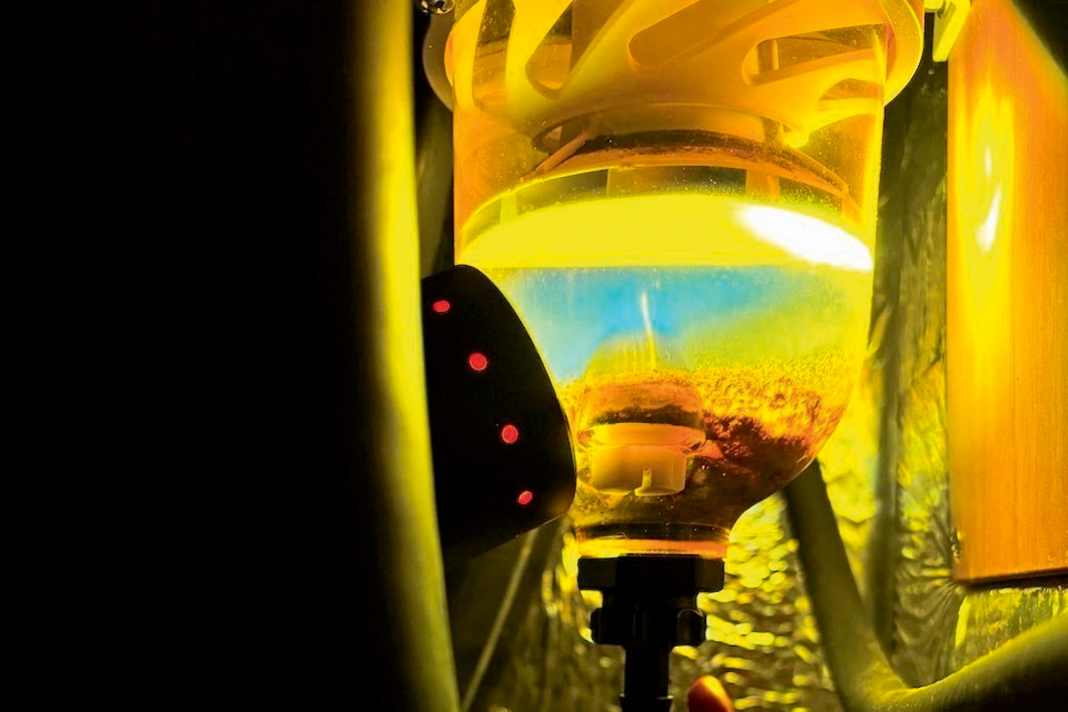 Signs of diesel contamination in the pre-filter. Check before and after the test drive.