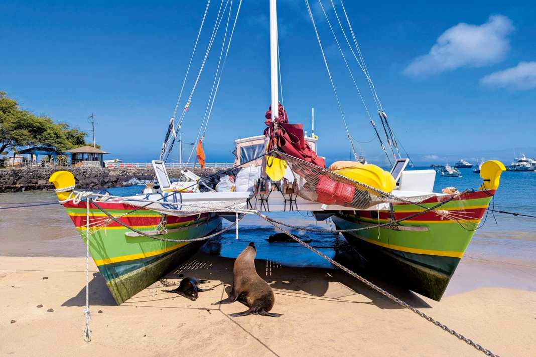 Ein Schwertfisch, so die Annahme, hat ein großes Leck in den Kat geschlagen. Auf San Cristóbal durfte das Eignerpaar den Kat zwischen Seelöwen am Strand reparieren.