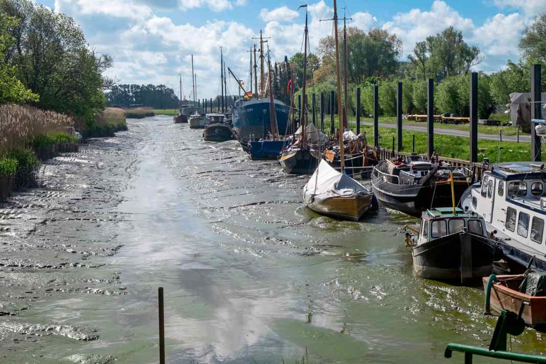 Der Moorkanal an der Wischhafener 
Süderelbe beherbergt ein historisches Hafenbecken. Es verschlickt zusehends.