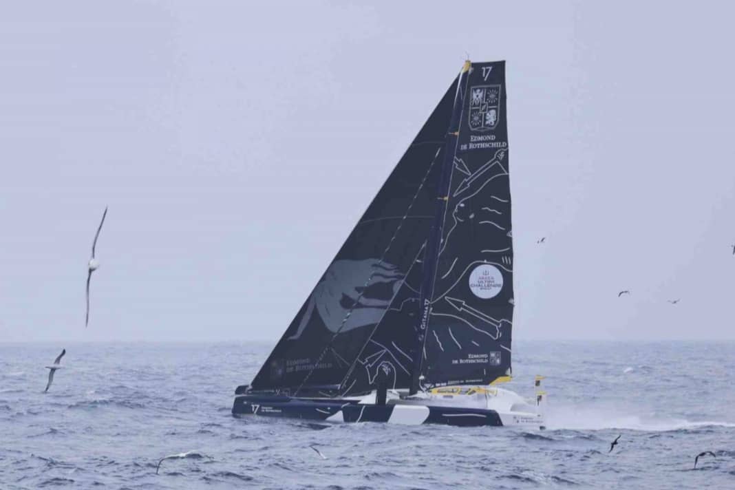 Momento sublime: Charles Caudrelier guida il suo gigante Gitana "Maxi Edmond de Rothschild" attraverso l'Oceano del Sud, gli albatros accompagnano il leader dell'Arkea Ultim Challenge