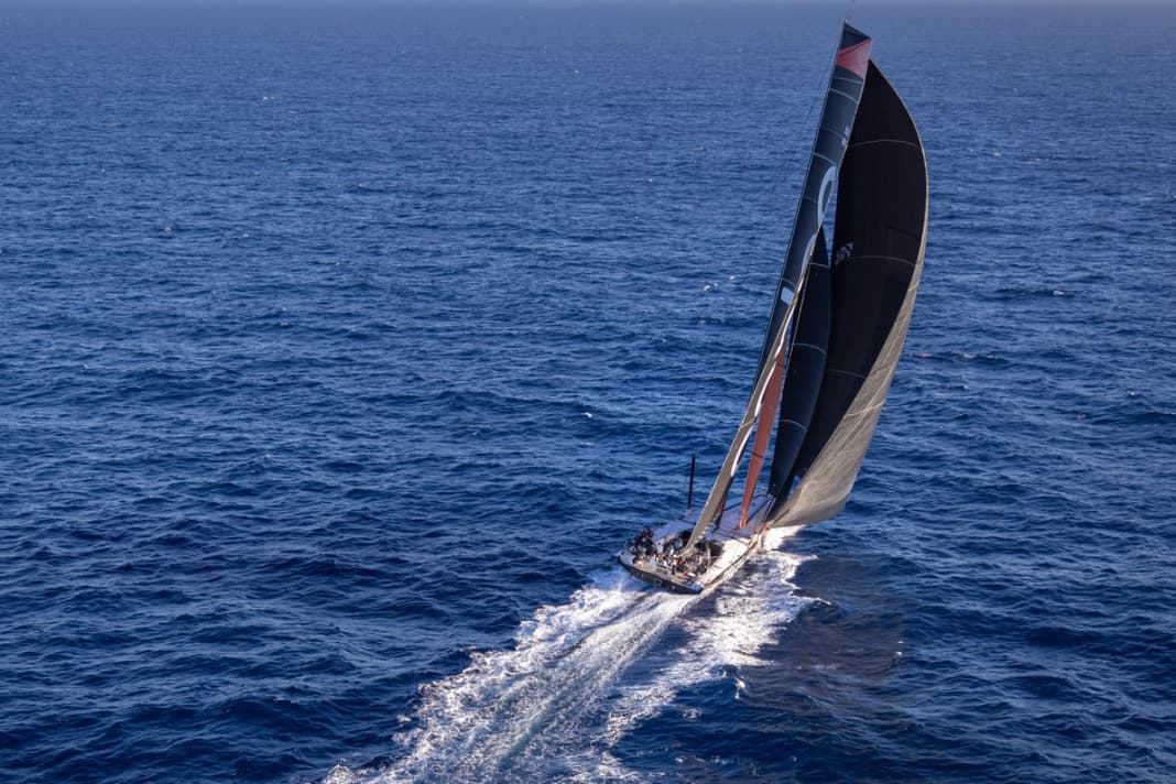 In this 77th edition of the Christmas classic, "Andoo Comanche" once again outdistanced the competition