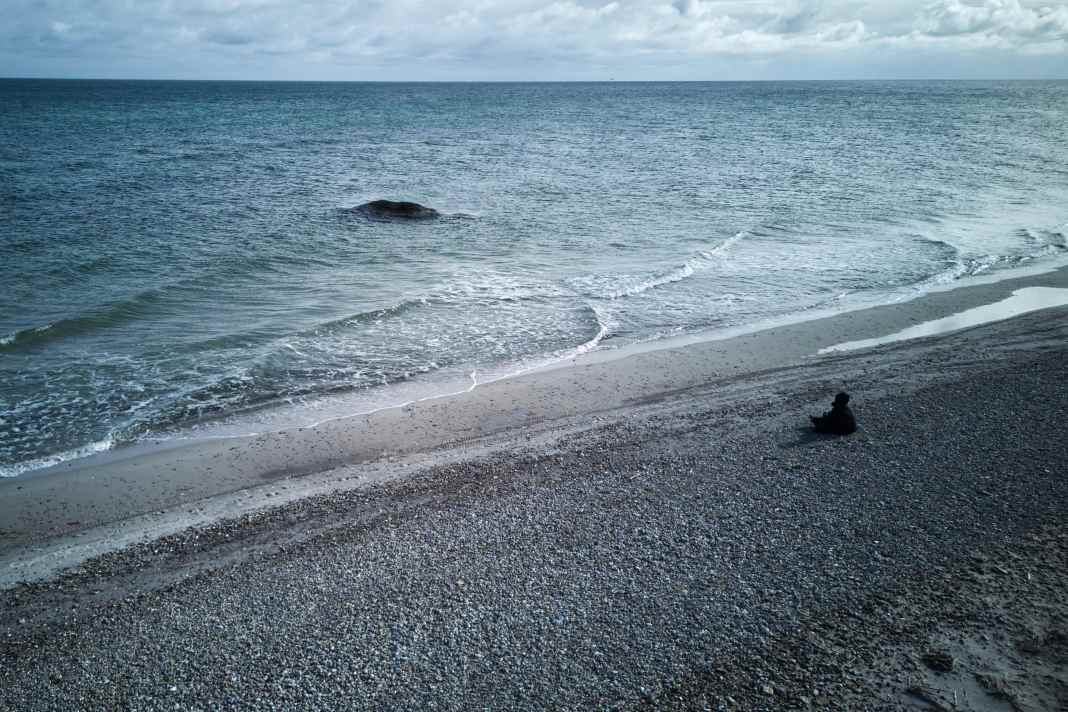 Tierärztin Anne Herrschaft nimmt am Strand vor Anholt Abschied vom toten Buckelwal Timmy.