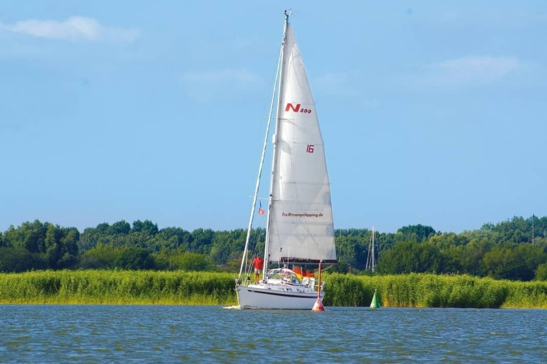 Yacht in front of reed belt in the Greifswald Bodden