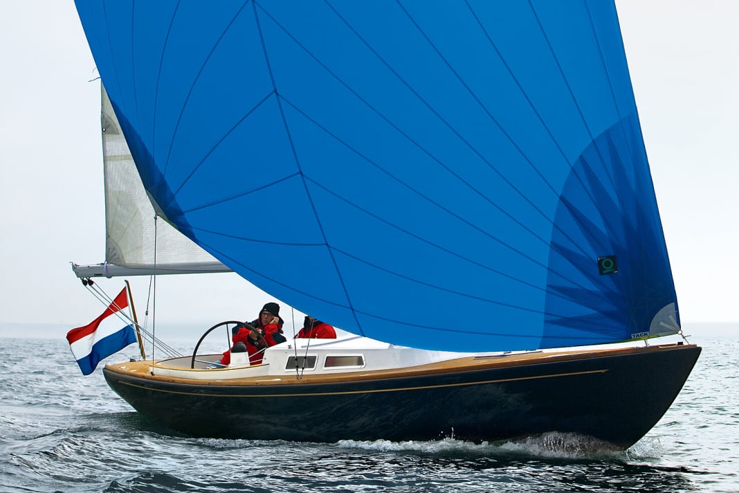 Daysailer des Pays-Bas