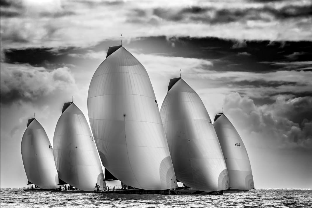 Main prize (+ Delegates Award), 1st place: Nico Martinez