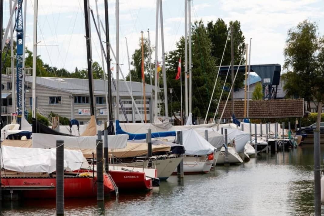 Das Umweltbundesamt hat den Bewuchs-Atlas aktualisiert. Auf einer interaktiven Karte wird nun das Bewuchsrisiko angezeigt. Zum Beispiel wird dem Bodensee, wie hier auf dem Bild, die Kategorie "mäßig" zugeordnet