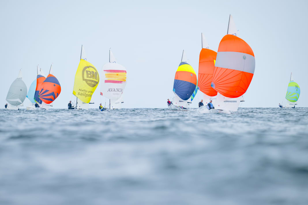 Campo FD colorato all'orizzonte del fiordo